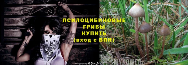 индика Абинск