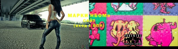 индика Абинск