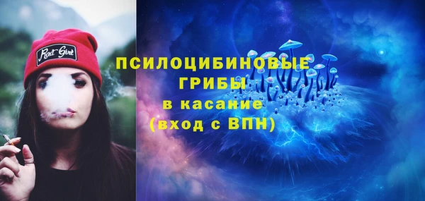 сатива Михайловск